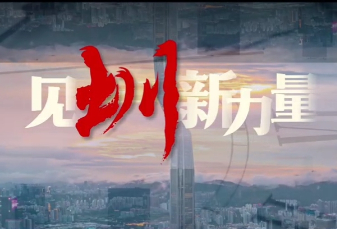 见“圳”新力量