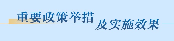 重要政策举措及实施效果